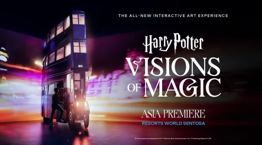 ビジョンズ・オブ・マジック　入場チケット